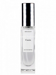 Reflexion Cassis